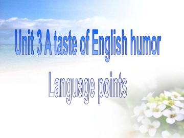 A taste of English humour_课件6