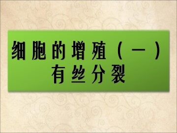 第1节  细胞的增殖