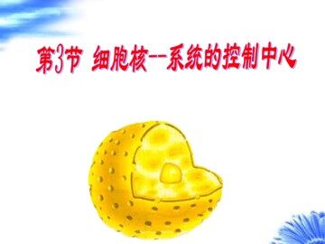 第3节  细胞核——系统的控制中心
