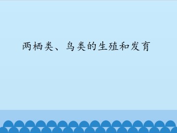 两栖类、鸟类的生殖和发育_课件1