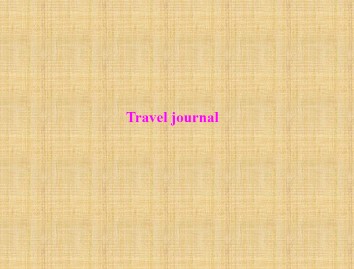 Travel journal_课件8
