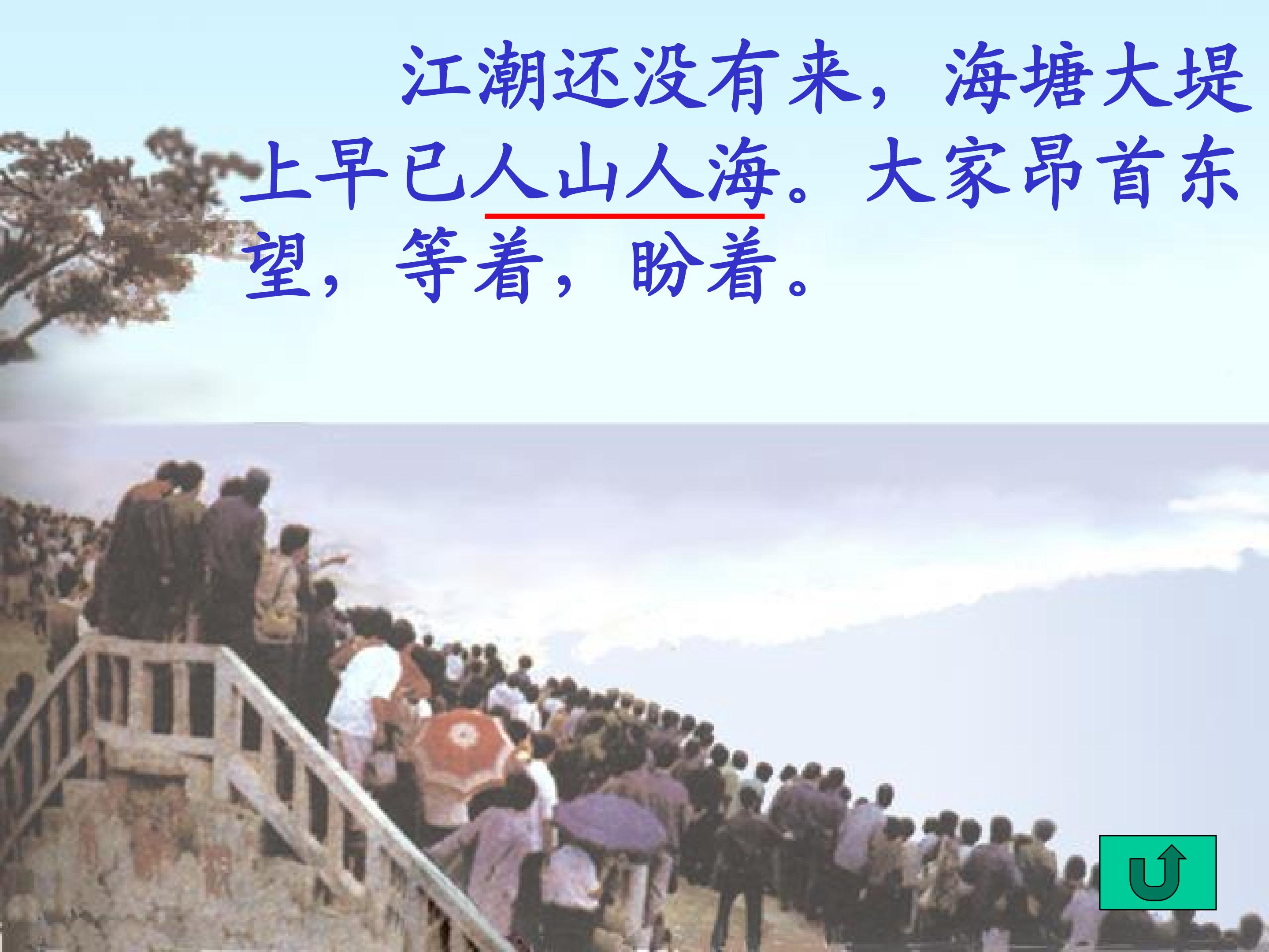 16.jpg