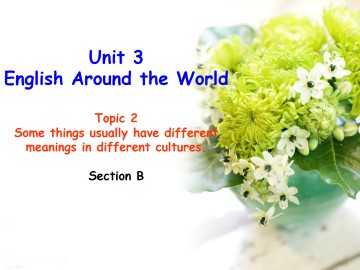 Topic 2. Some things usually have different meanings in different cultures._课件1