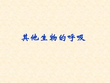 其他生物的呼吸_课件1