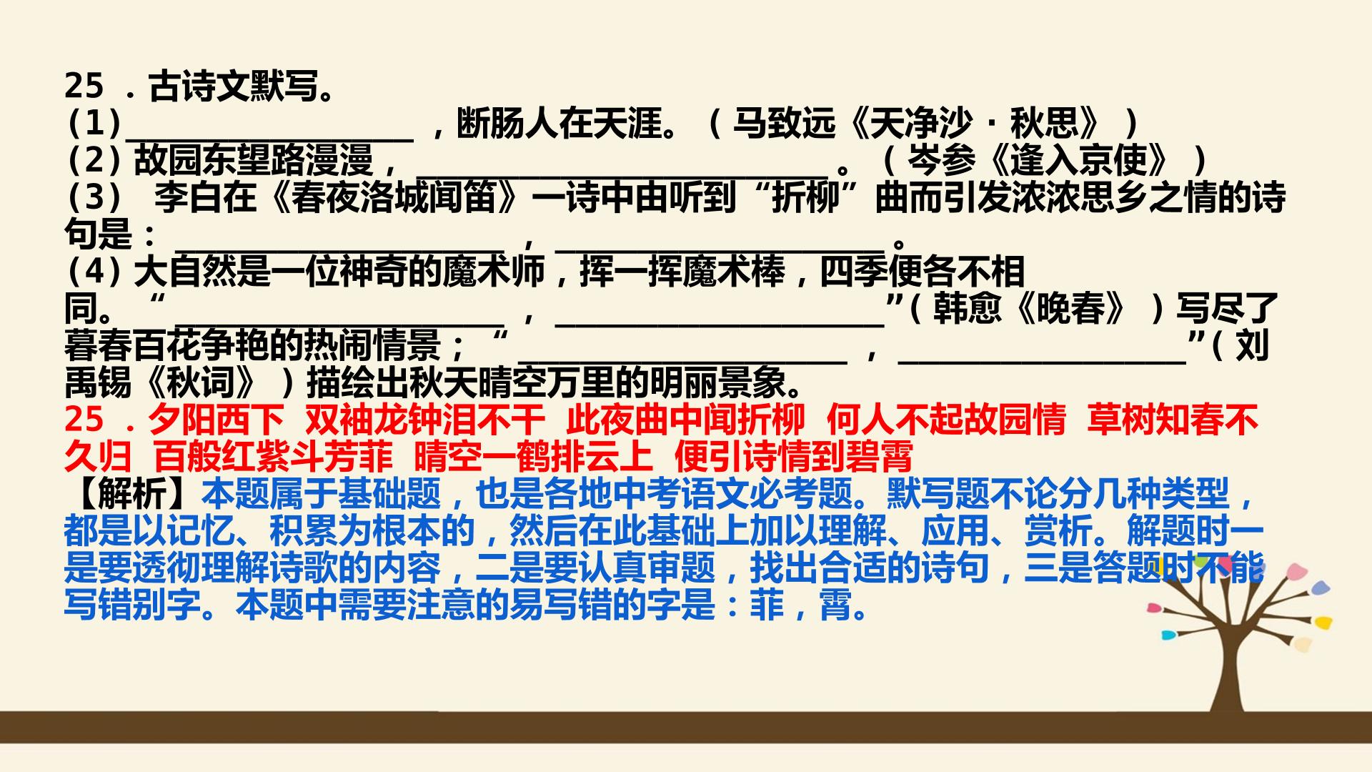 97.jpg
