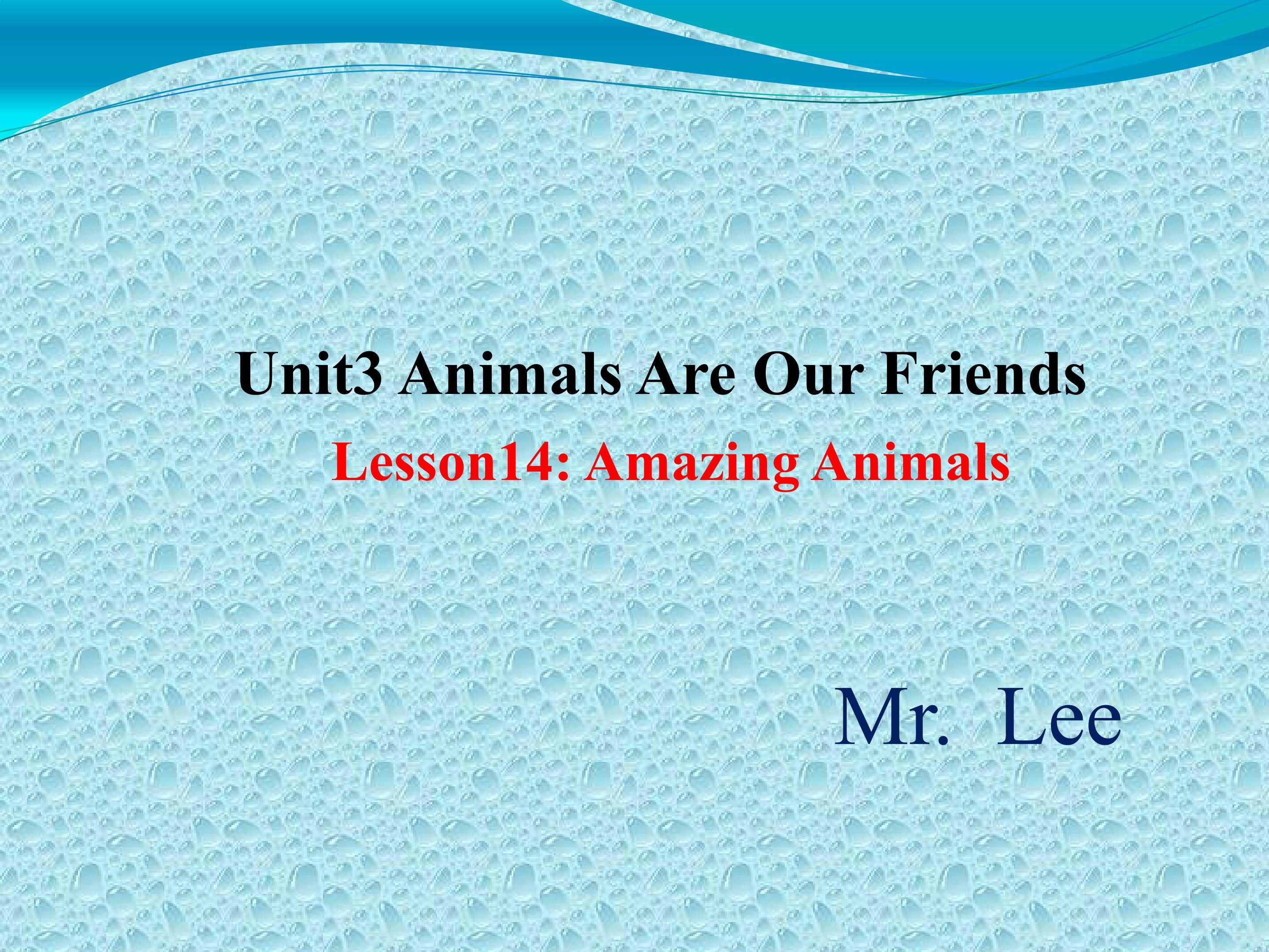 lesson 14 Amazing animals