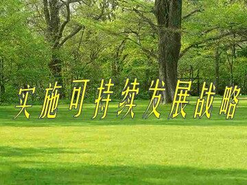 思想品德九年级全一册第二单元第四课第三框的教学课件.ppt