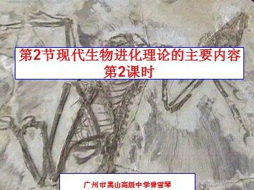生物高中必修2第七章第二节第二课时课件4