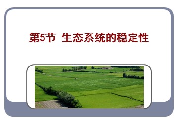 生物高中必修3第五章第五节课件11