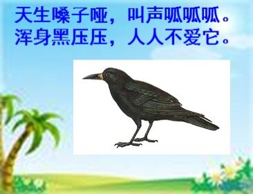 19 乌鸦喝水 