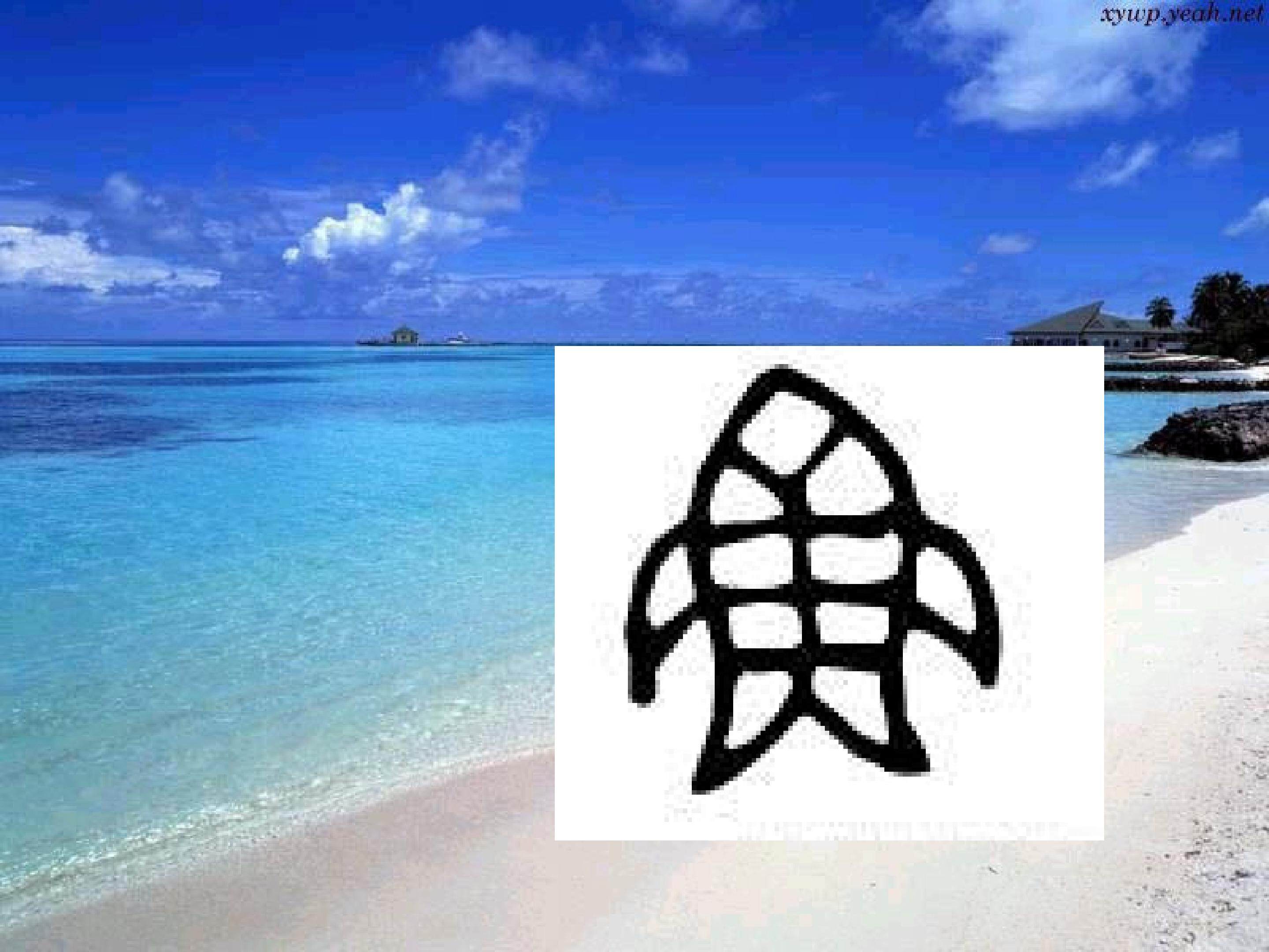 浅水洼里的小鱼