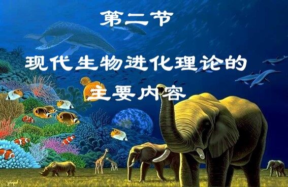 生物高中必修2第七章第二节课件11