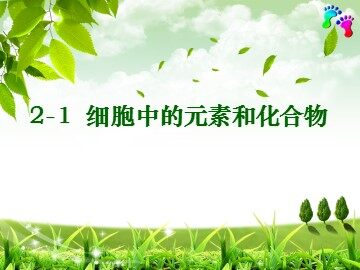 第1节  细胞中的元素和化合物