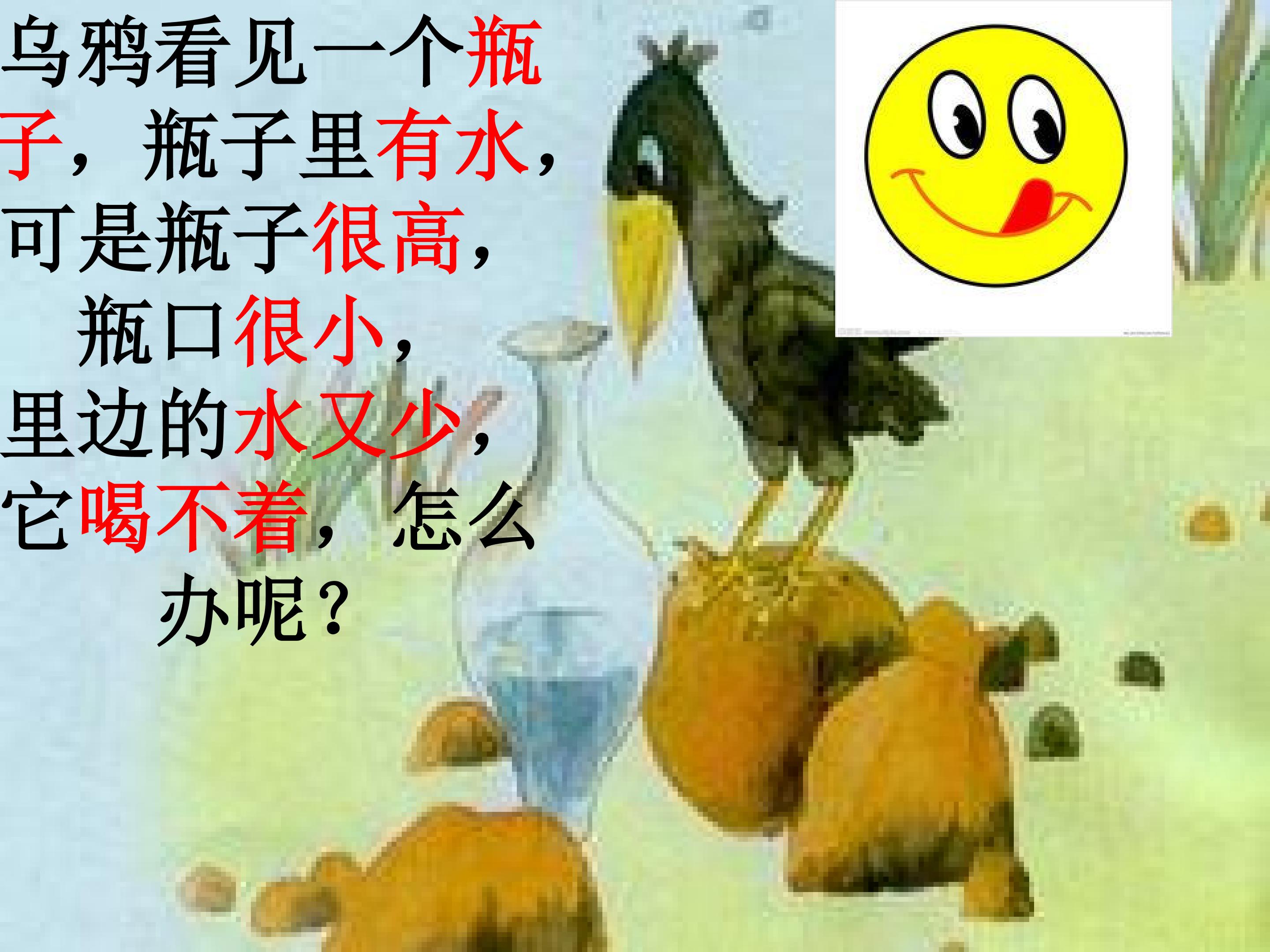 29.jpg