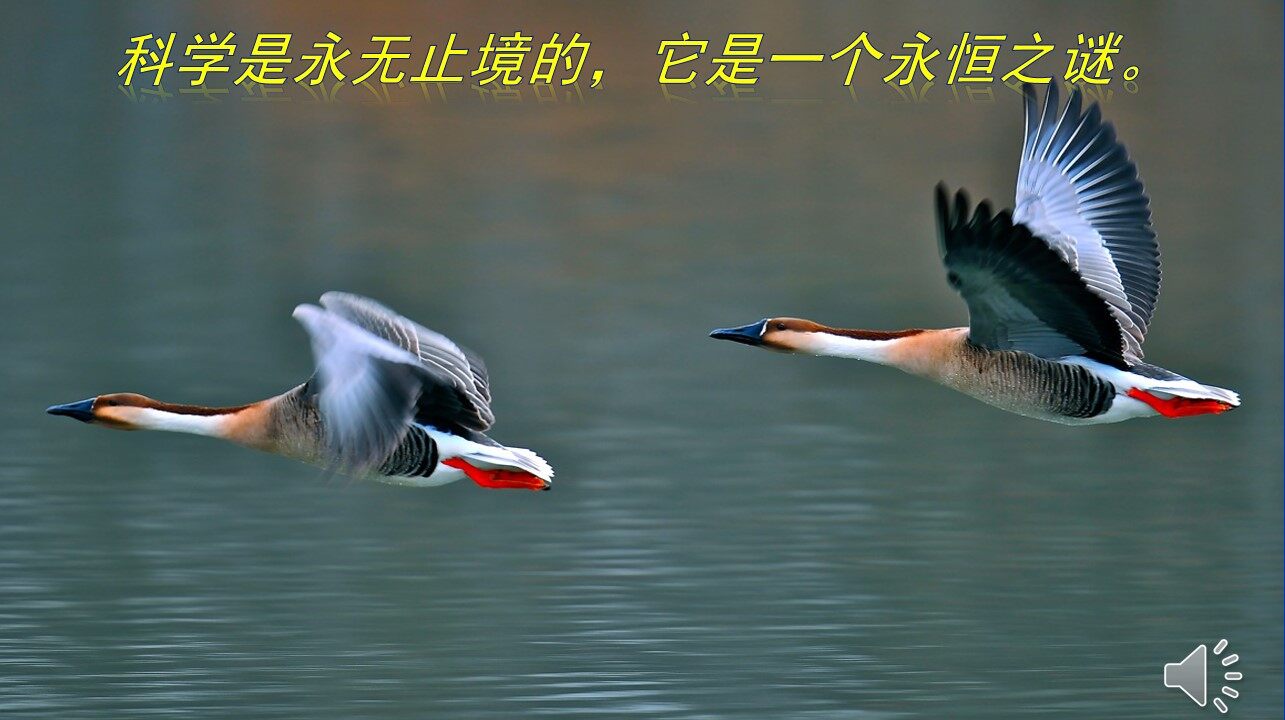 第三章 第四节 动物的行为