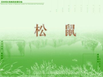 10* 松鼠