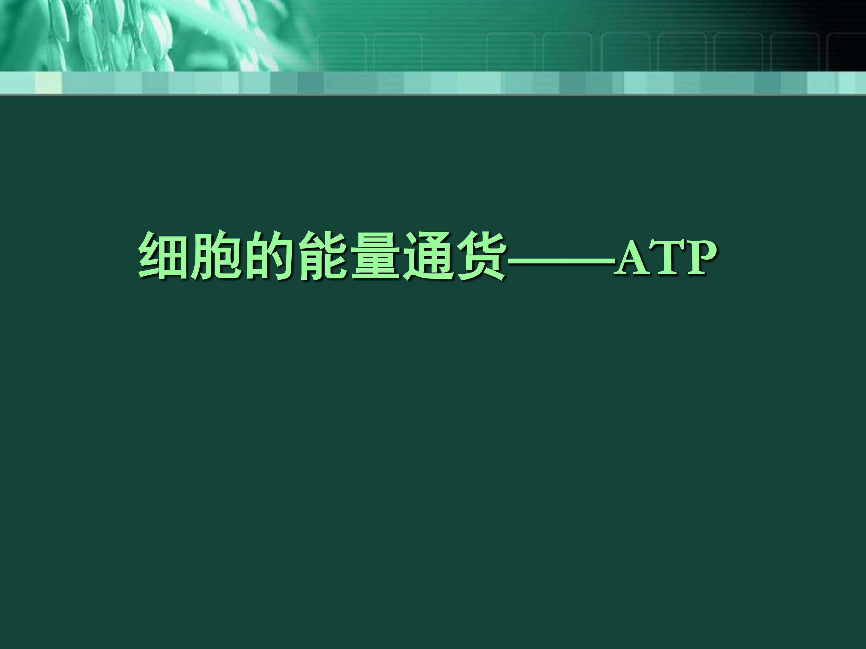 能量通货--ATP