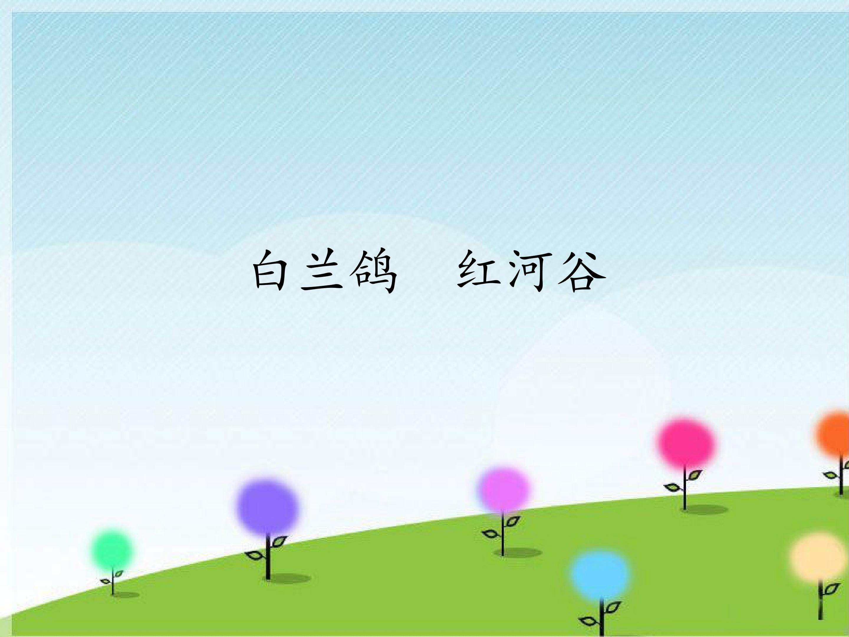 白兰鸽  红河谷_课件1