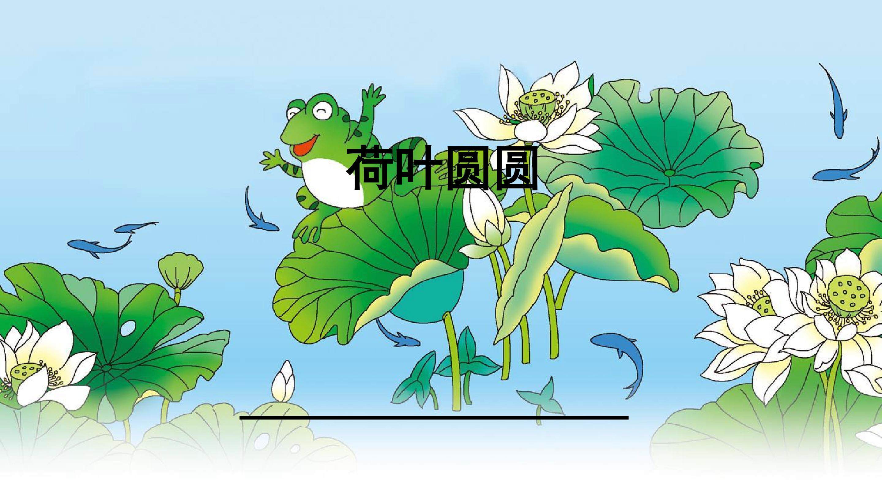 荷叶圆圆