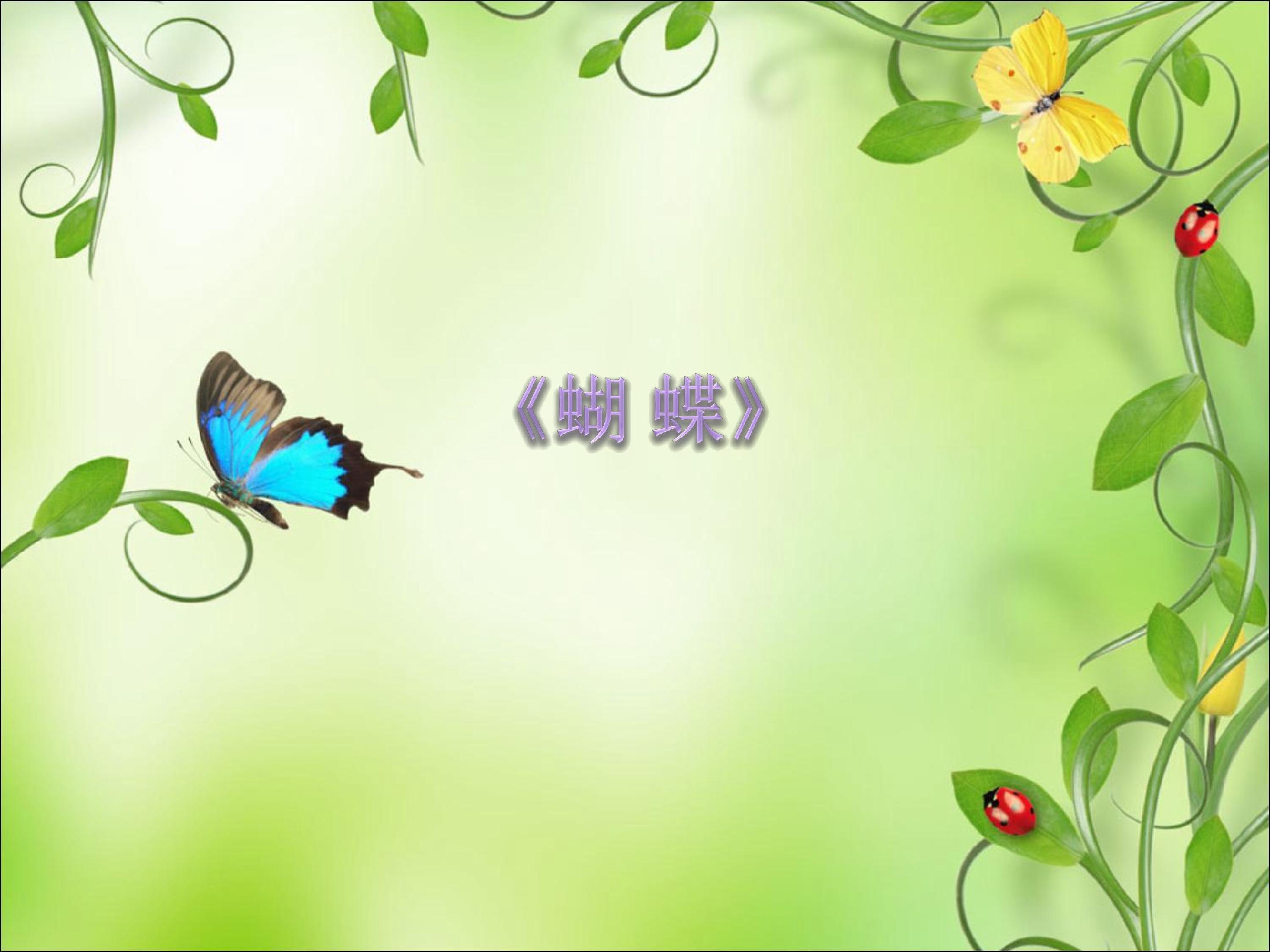 蝴蝶_课件1