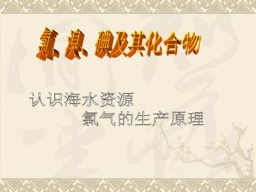 氯、溴、碘及其化合物_课件2