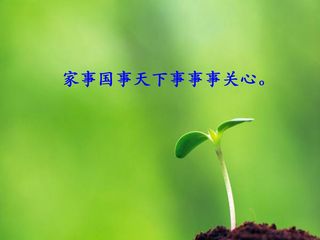 信息窗一(复式条形统计图)