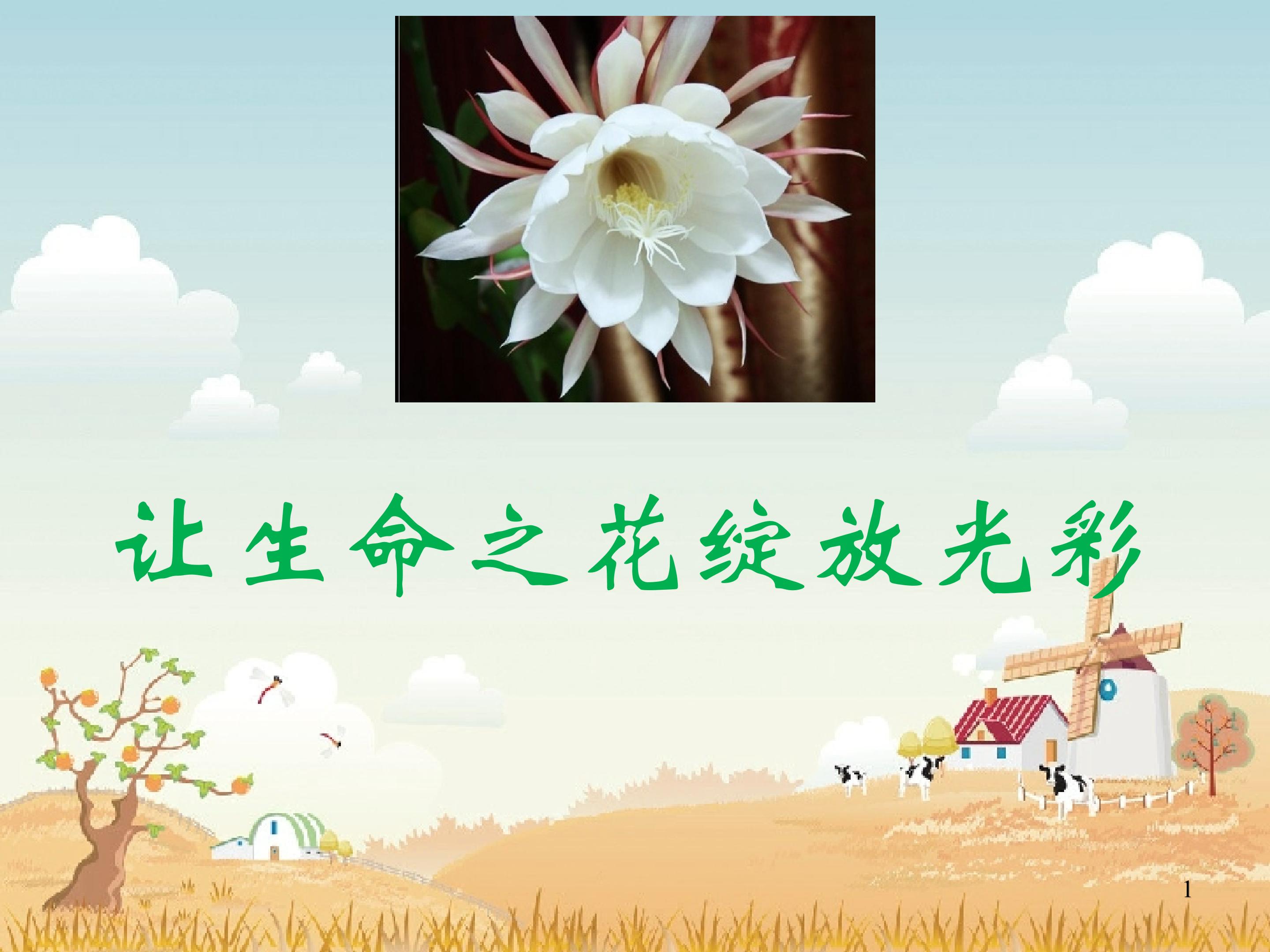 让生命之花绽放光彩