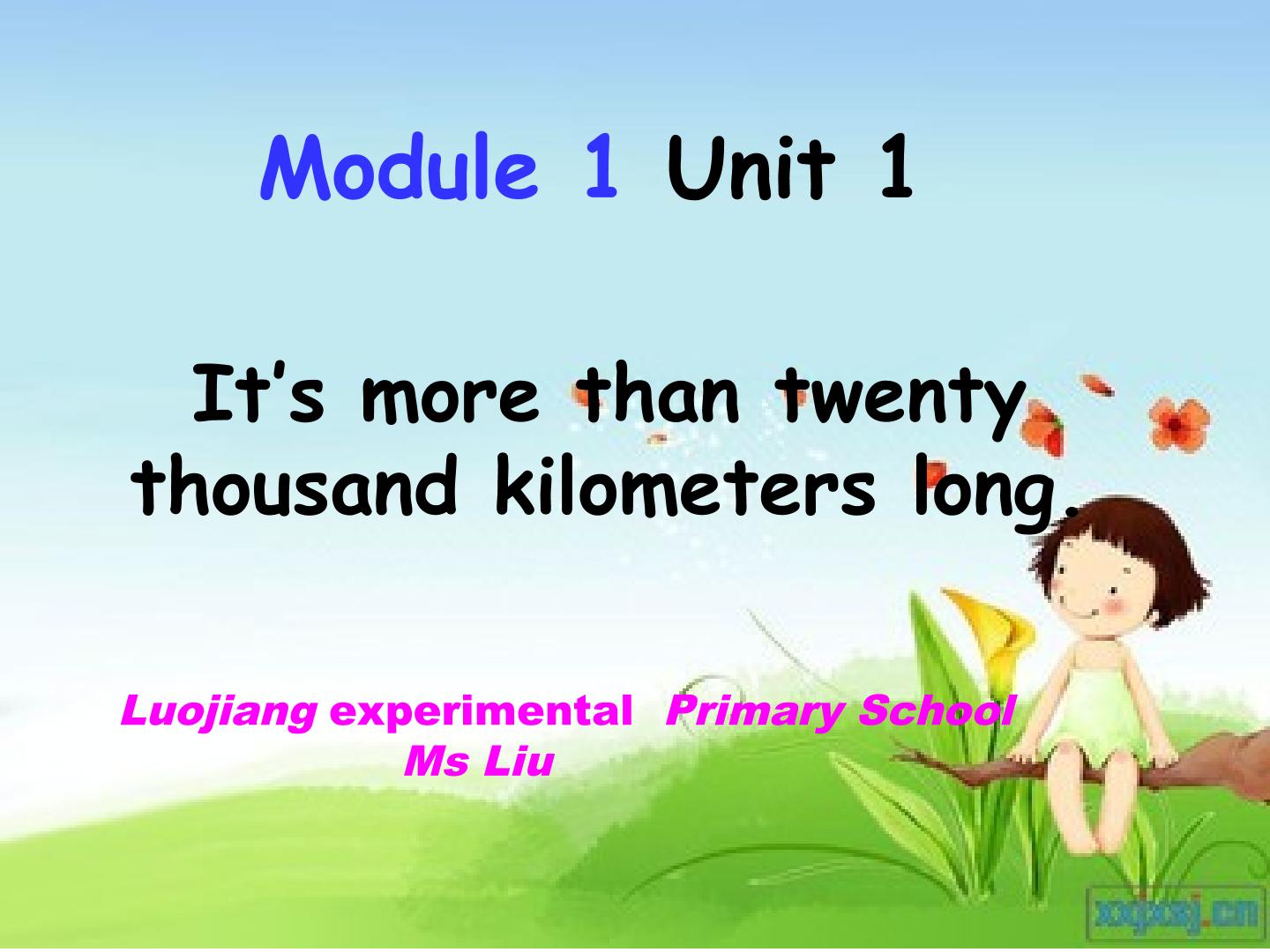 Moudle 1Unit1 It's more than