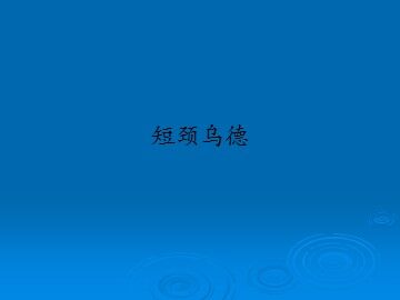 短颈乌德_课件1