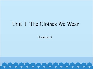 Unit 1  The Clothes We Wear Lesson 3_课件1