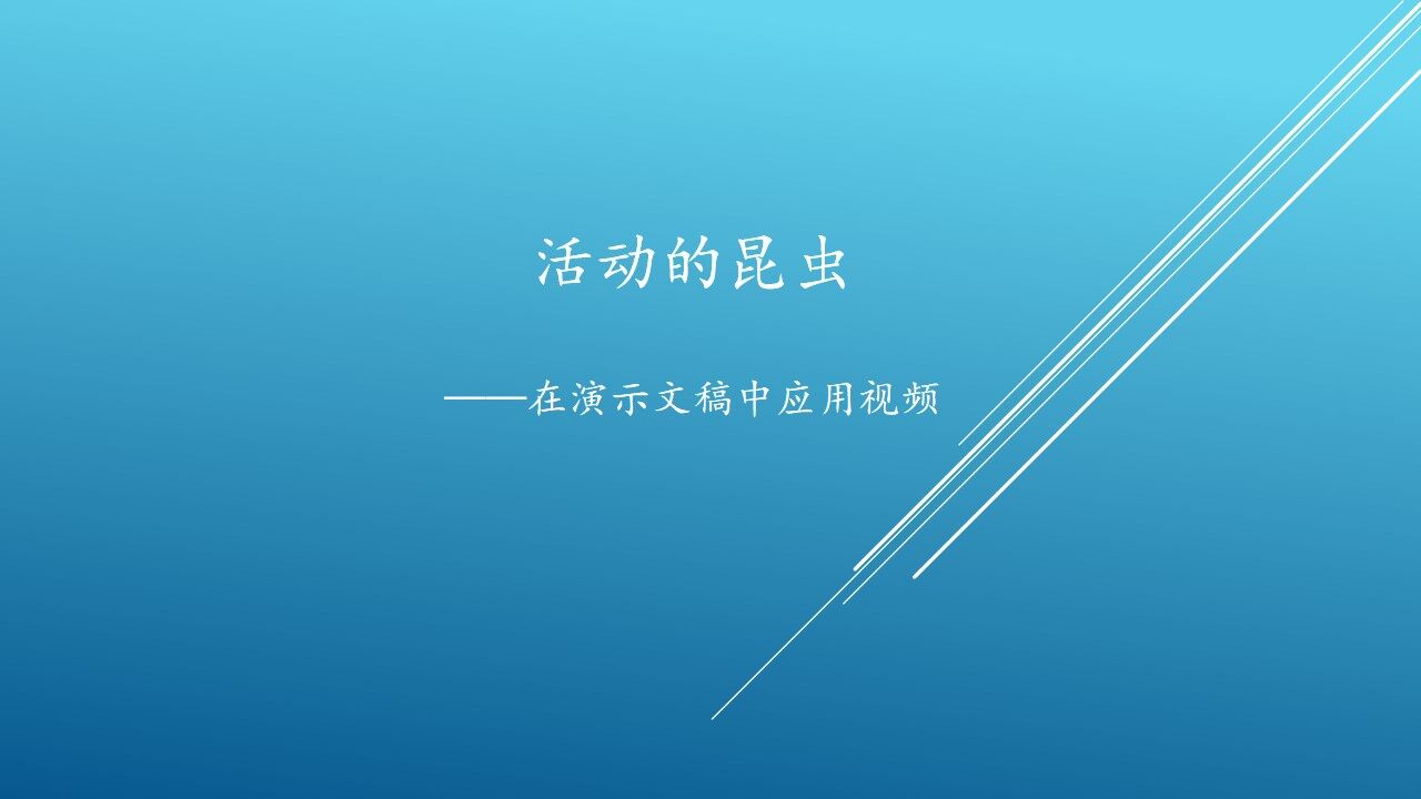 活动的昆虫—在演示文稿中应用视频_课件1