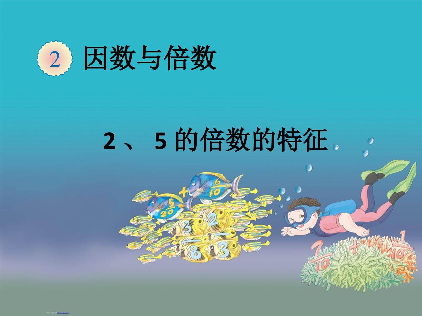 2、5的倍数的特征