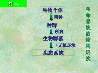 生态系统的结构