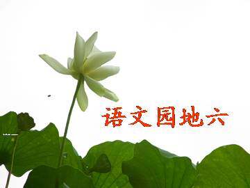 语文园地六_课件1