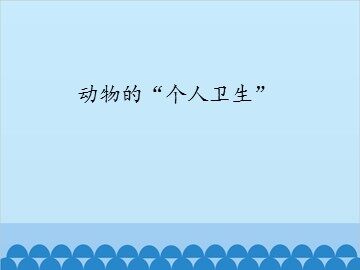 动物的“个人卫生”_课件1