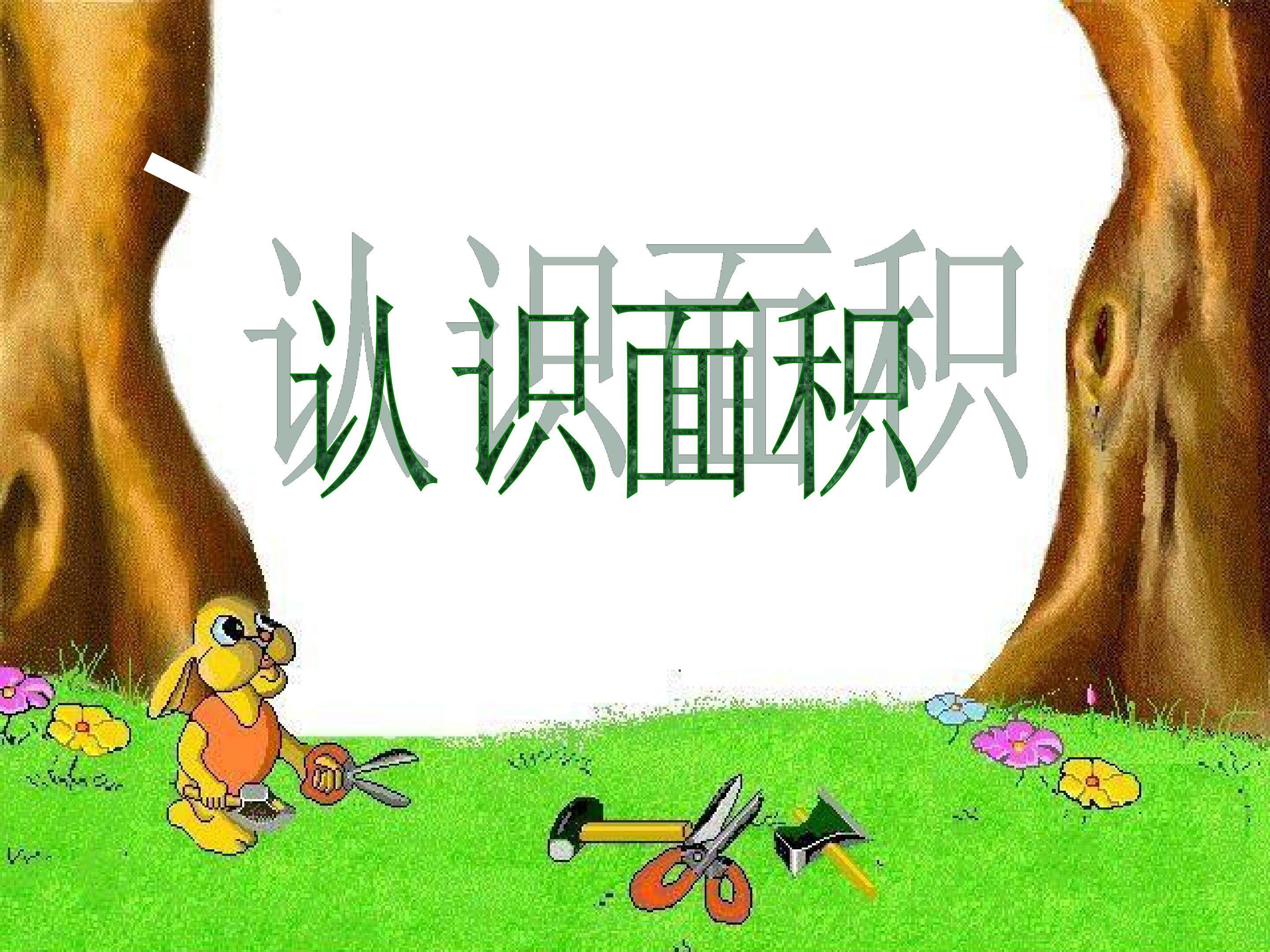 认识面积