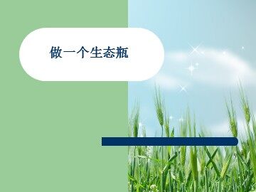 《做一个生态瓶》课件3
