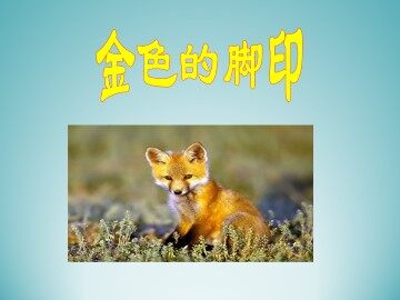 金色的脚印_课件1