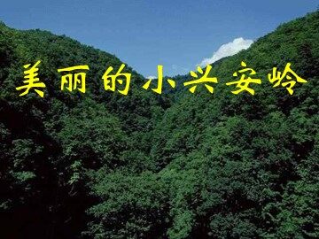 23 美丽的小兴安岭