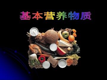 基本营养物质_课件2