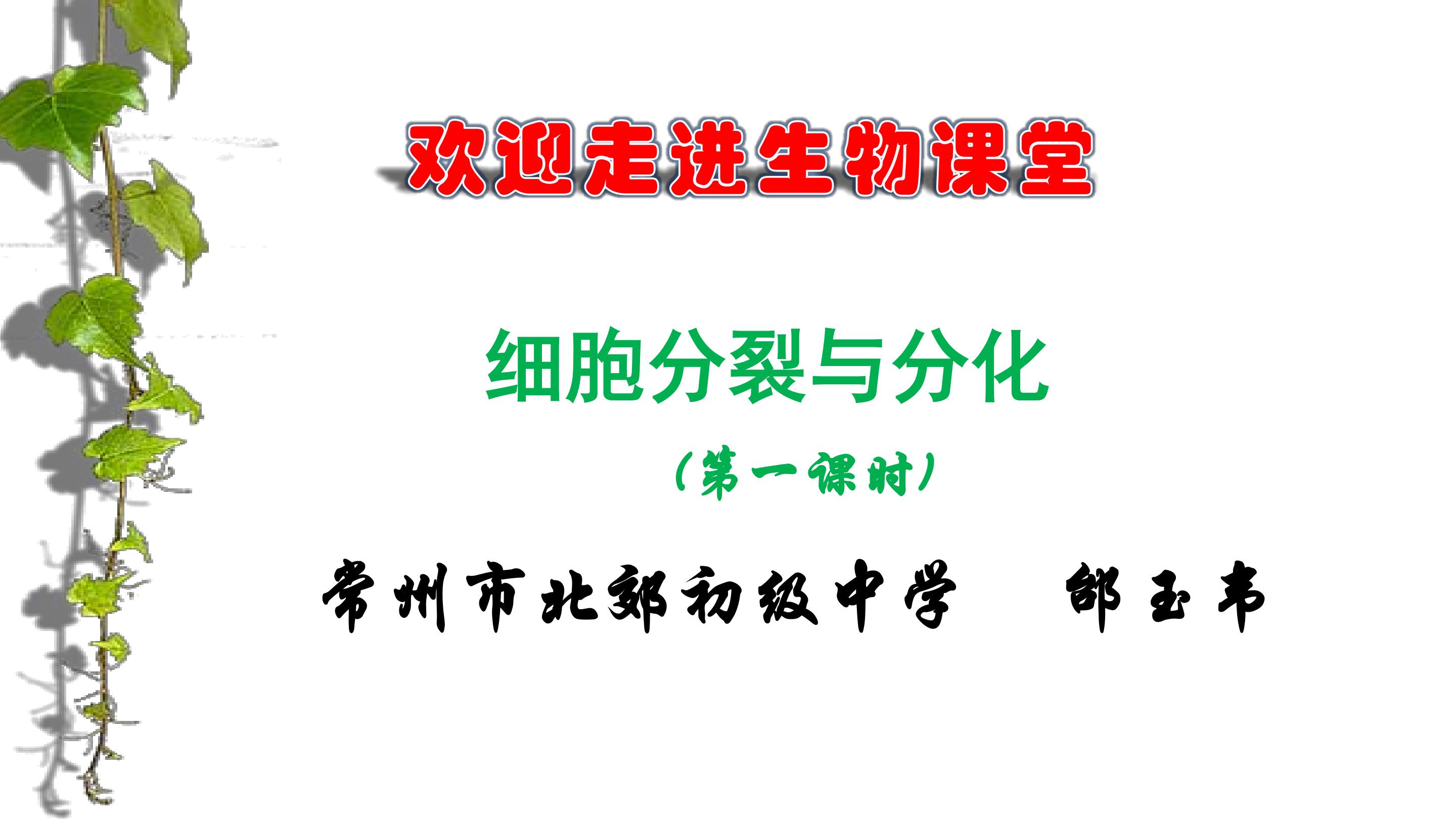 第三节 细胞的分裂与分化(邰玉韦)