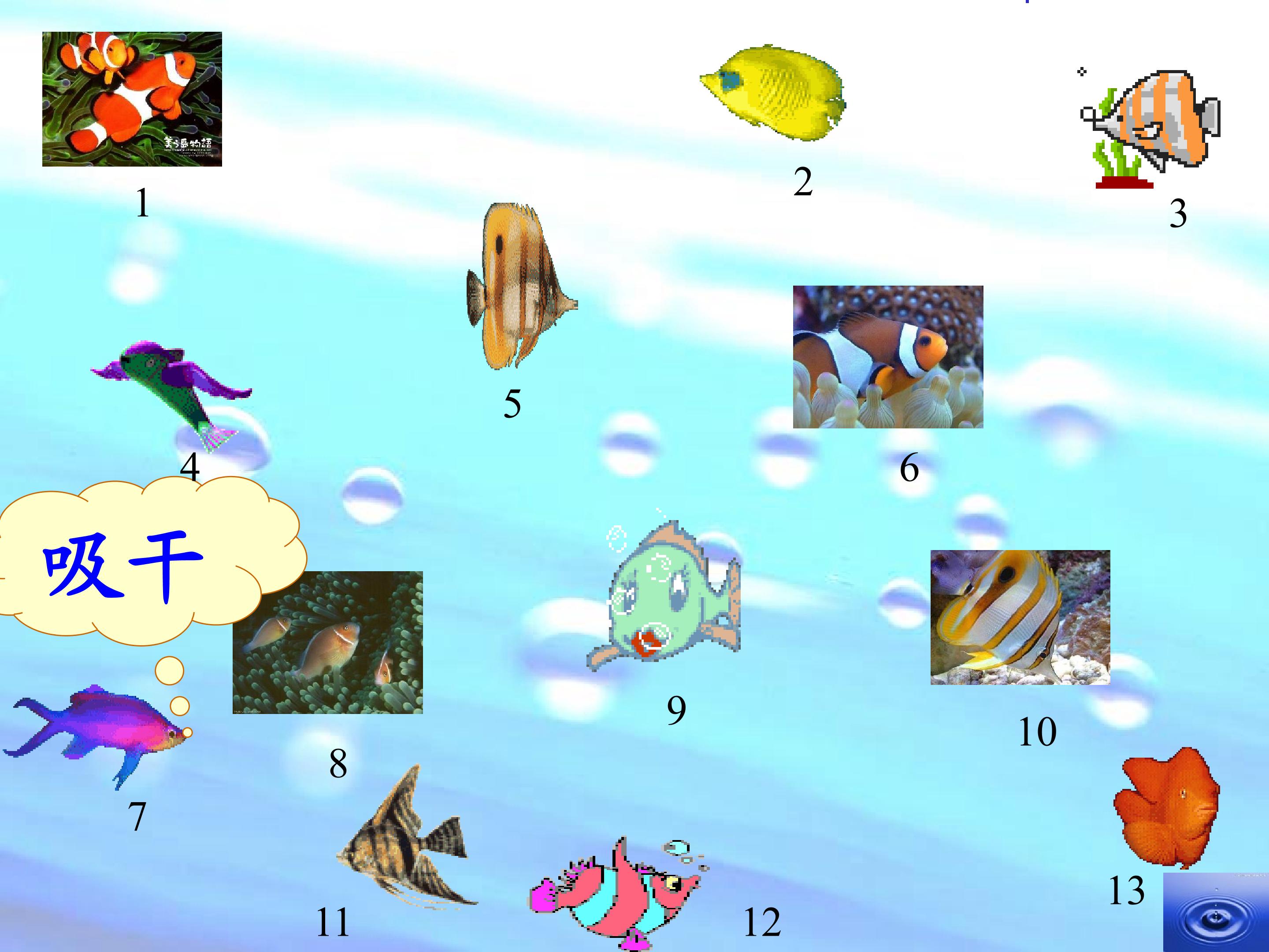 14.jpg