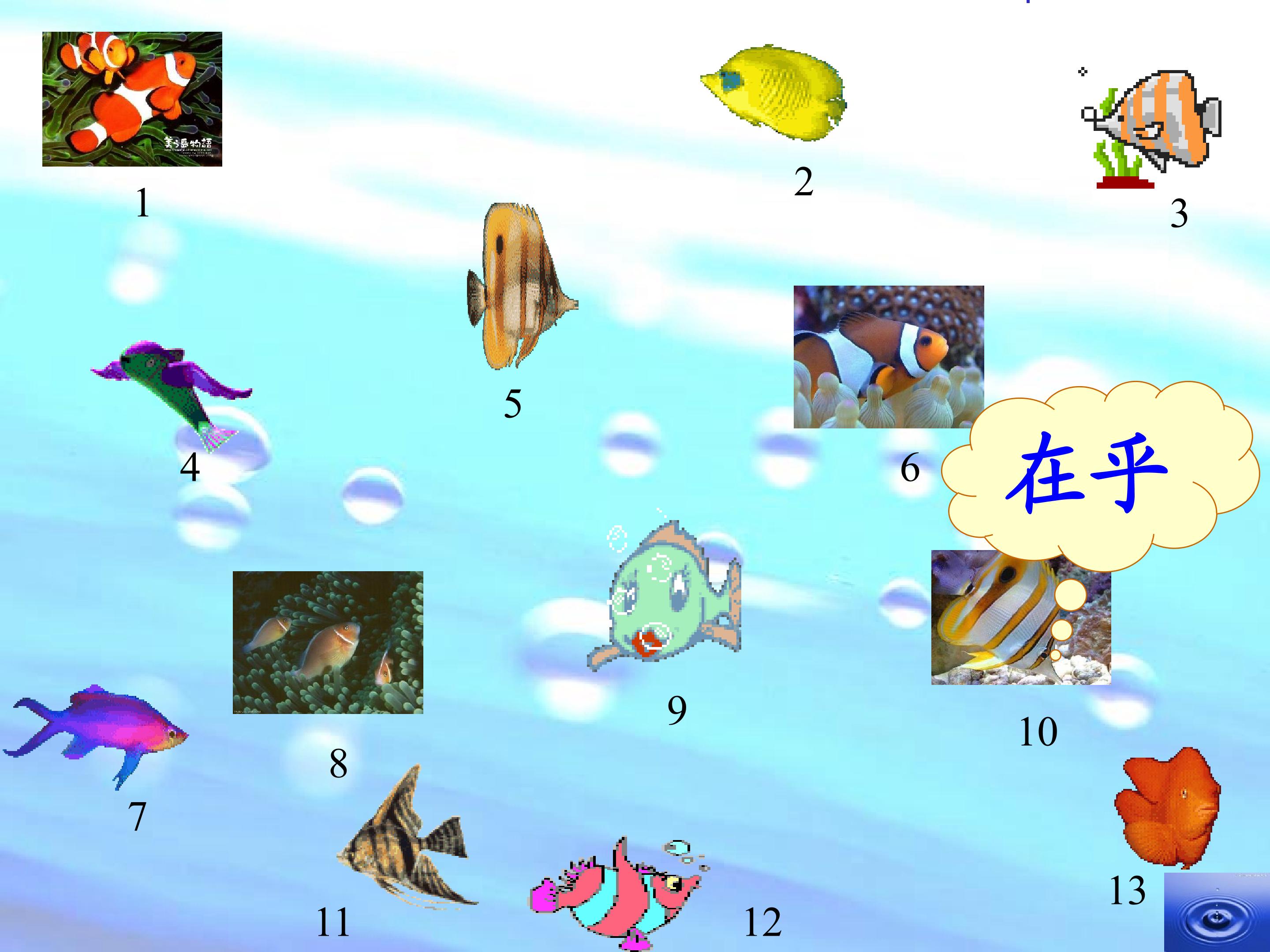 17.jpg