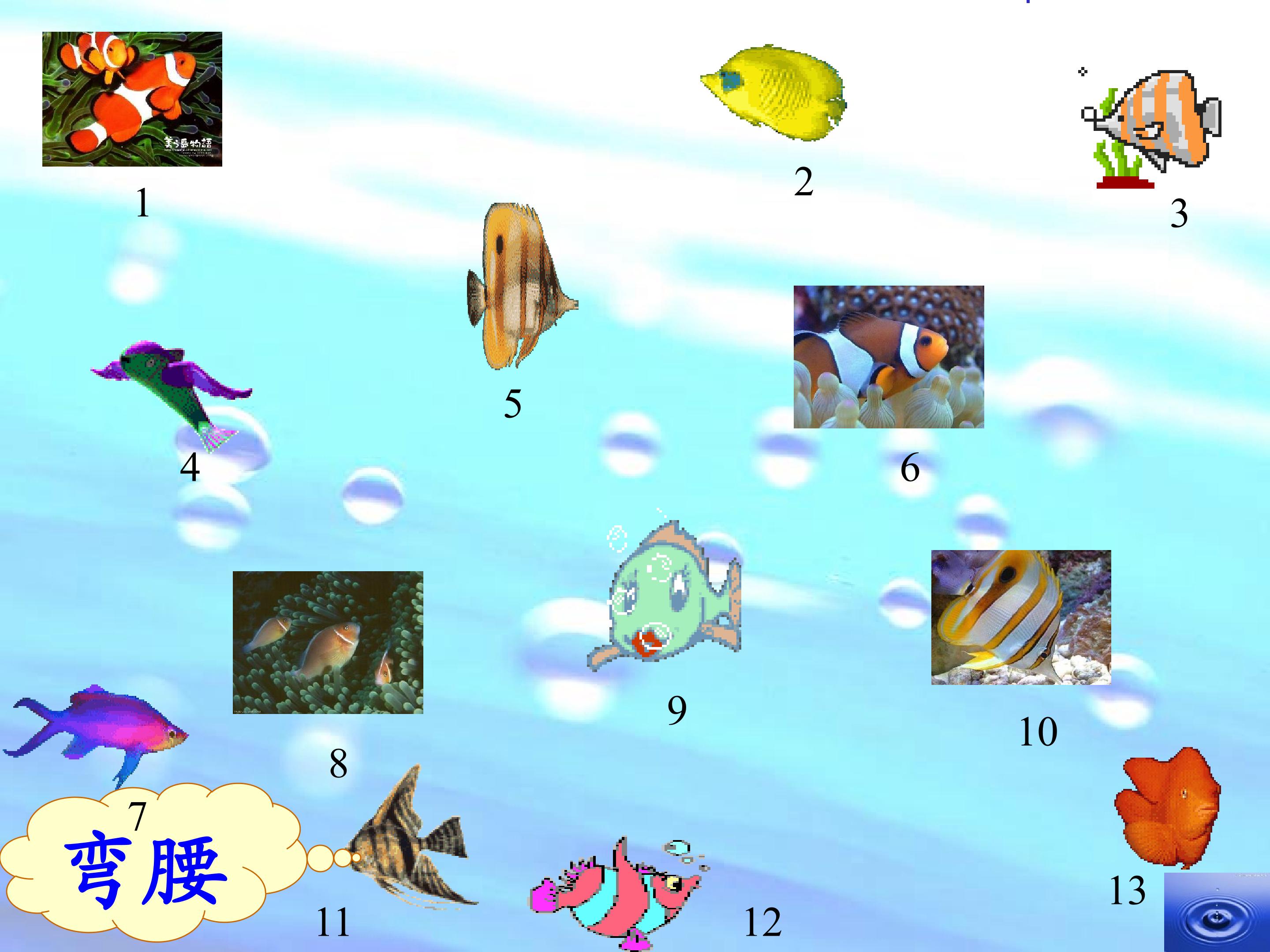 18.jpg