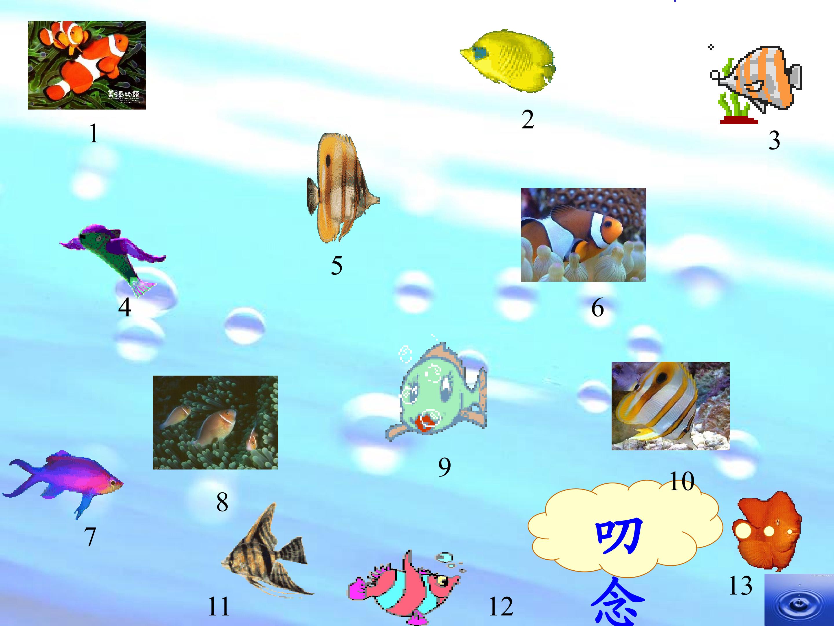 20.jpg