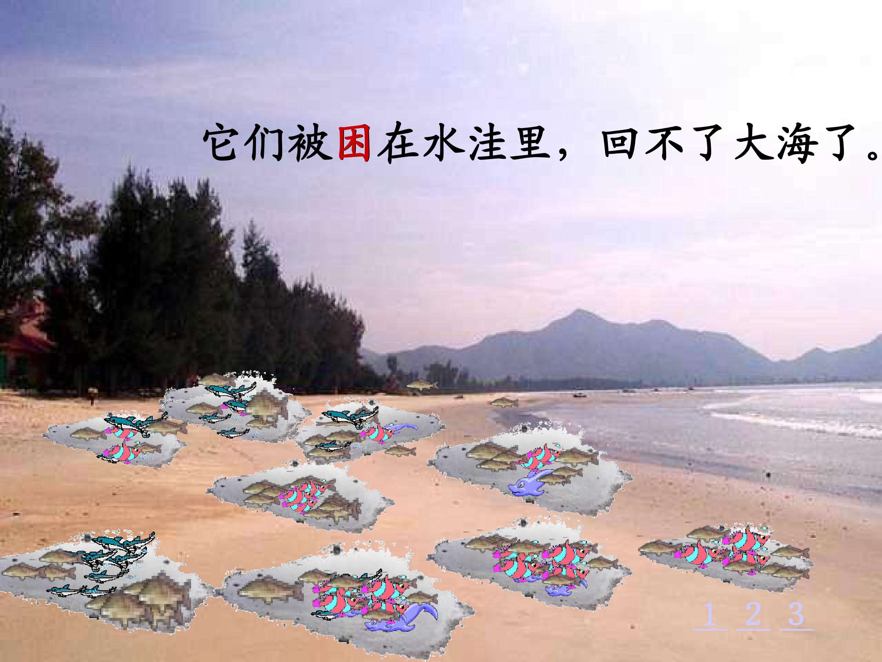 24.jpg