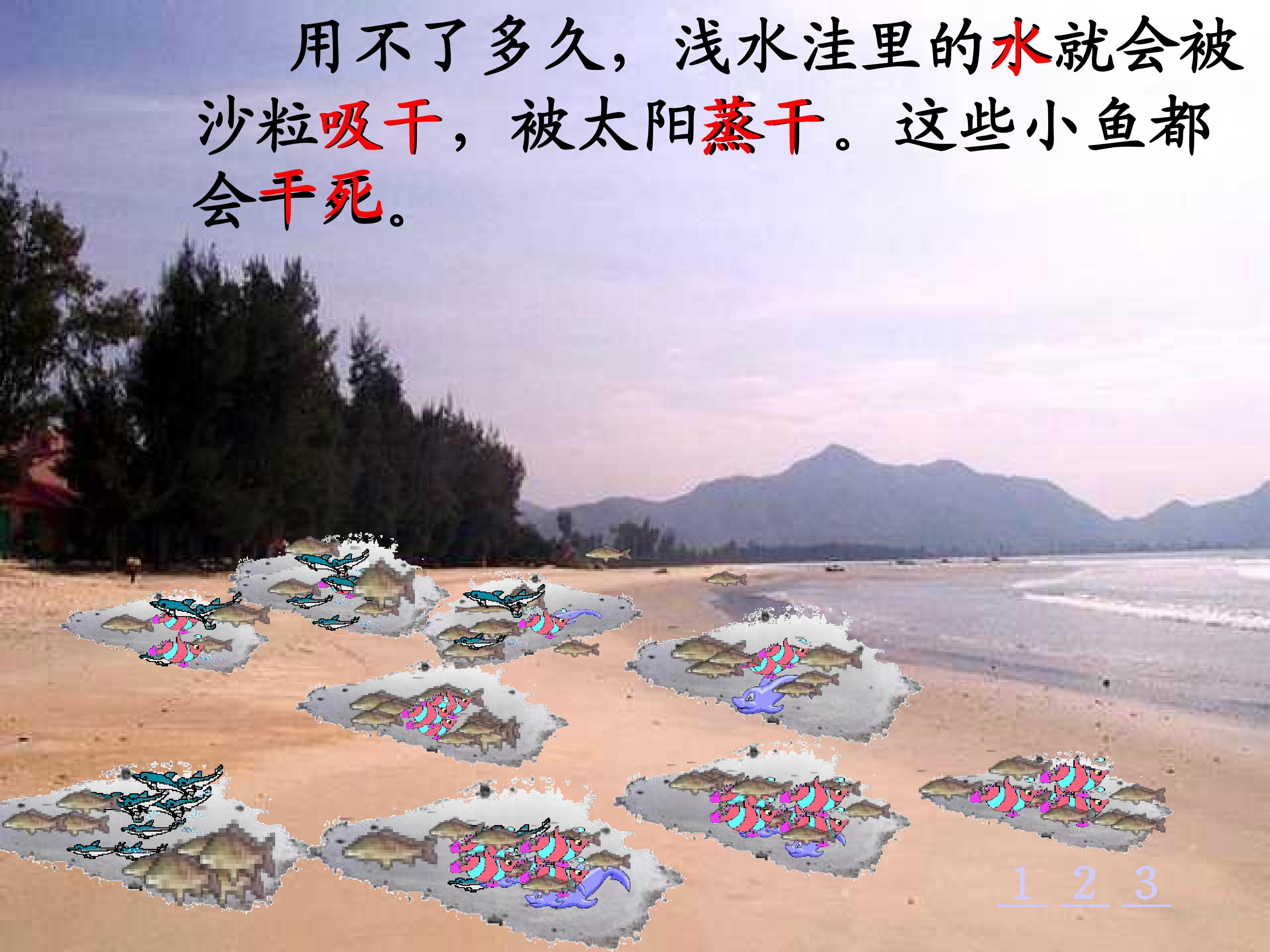 26.jpg