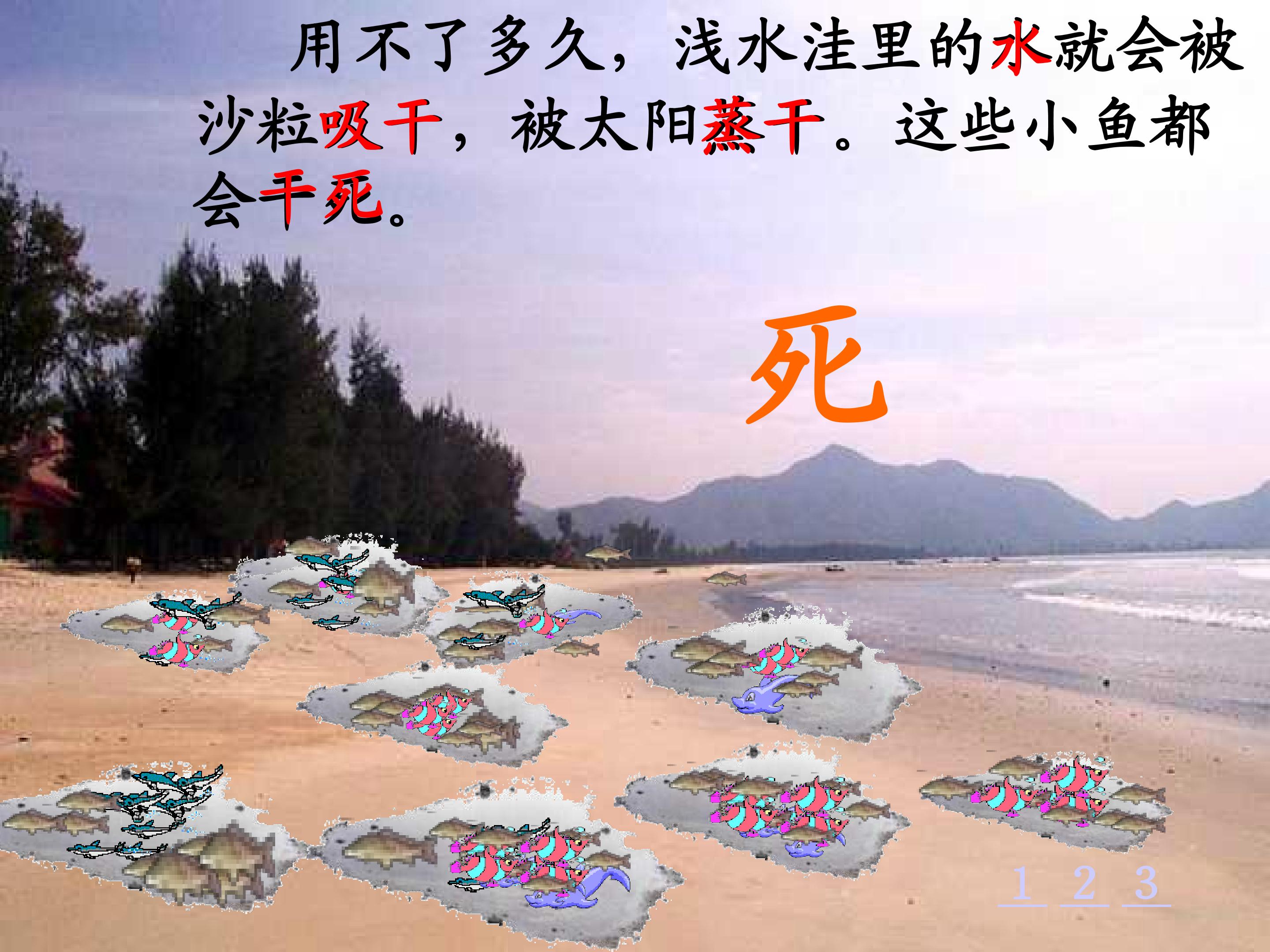 27.jpg