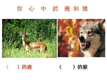 14* 鹿和狼的故事
