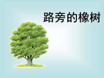 路旁的橡树_课件1